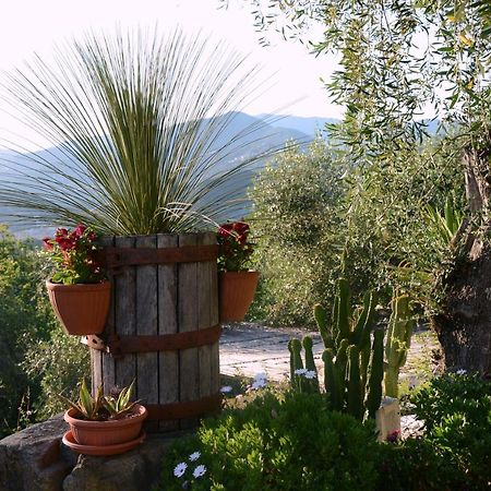 Bed and Breakfast La Gatta Sul Sentiero à San Salvatore  Extérieur photo