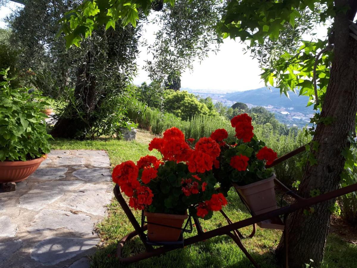 Bed and Breakfast La Gatta Sul Sentiero à San Salvatore  Extérieur photo